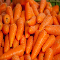 imagem cenoura