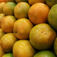 imagem Laranja
