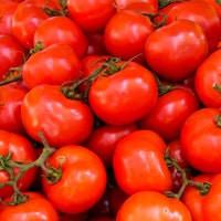 imagem tomate